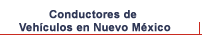 Conductores de Vehculos en Nuevo Mxico